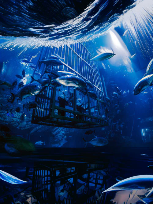 Dubai City Tour